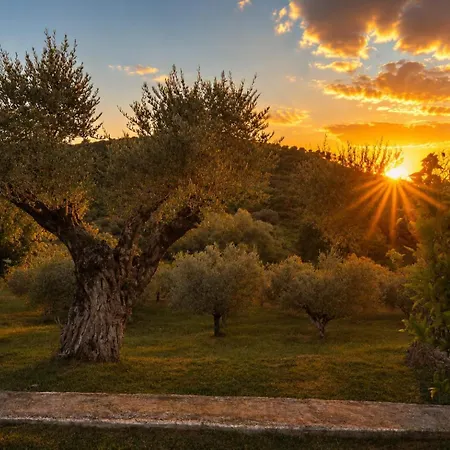 Kroi I Vashes Vila Peqin